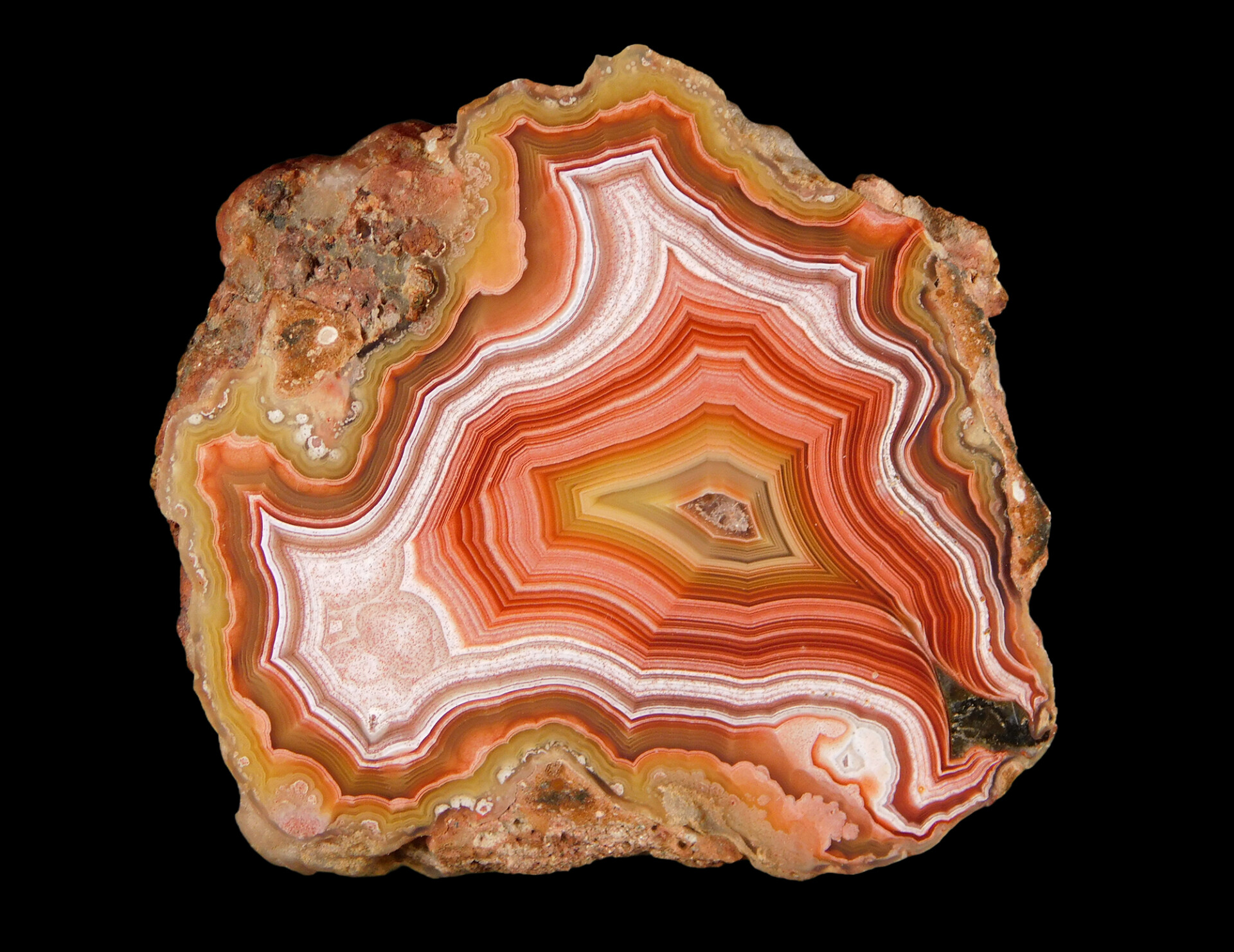 Crystal Days Exhibits
